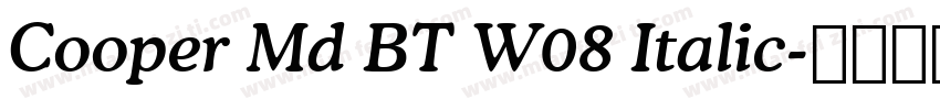 Cooper Md BT W08 Italic字体转换